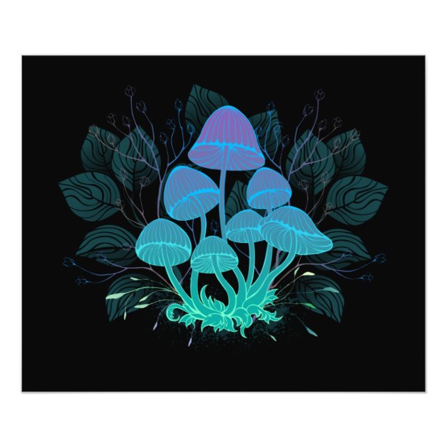 Toadstools in Bushes Photo Print (Front)