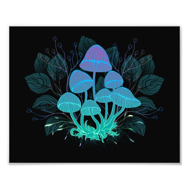 Toadstools in Bushes Photo Print (Front)