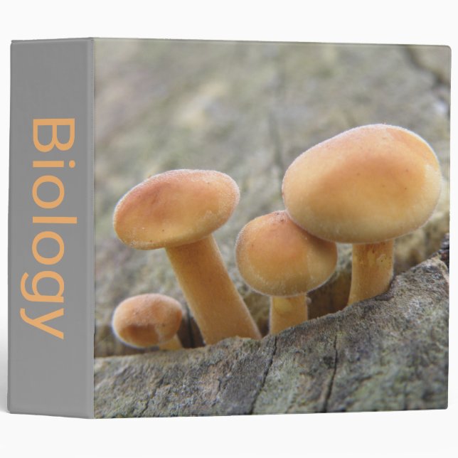 Toadstools on a Tree Trunk Custom Binder (Front/Spine)