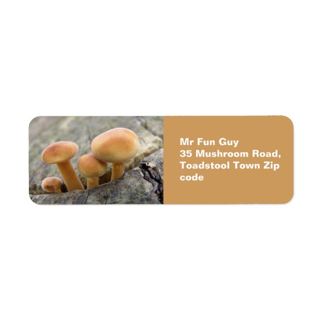 Toadstools on a Tree Trunk Custom Labels (Front)