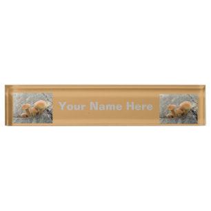 Toadstools on a Tree Trunk Custom Nameplate