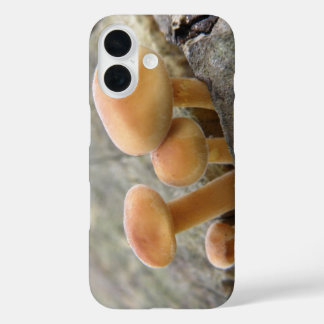 Toadstools on a Tree Trunk iPhone Case