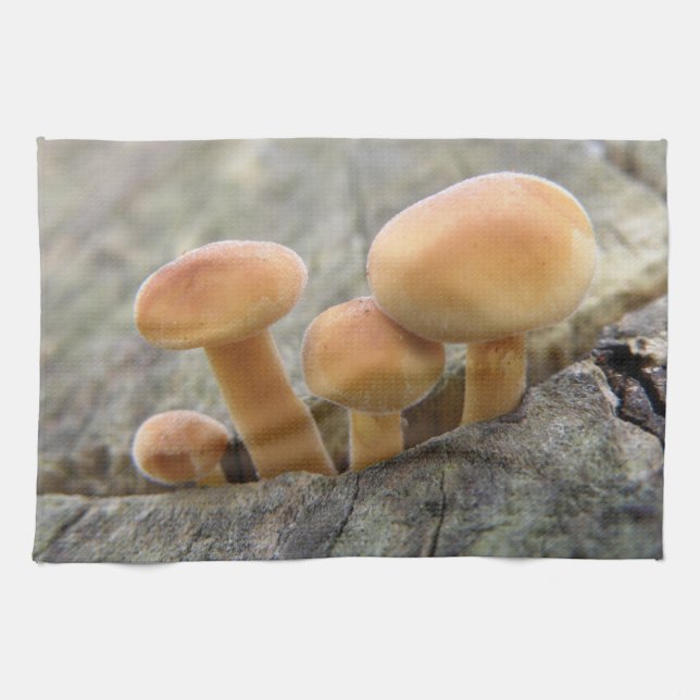 Toadstools on a Tree Trunk Kitchen Towel (Horizontal)