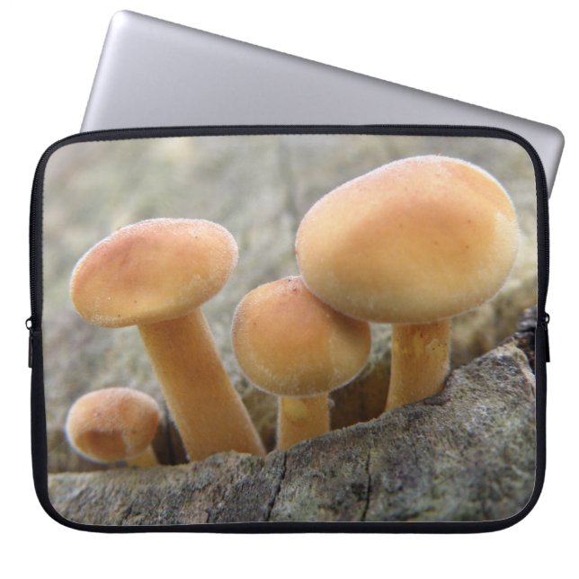 Toadstools on a Tree Trunk Laptop Sleeve (Front)
