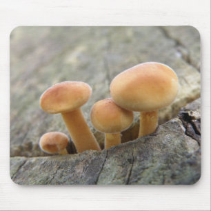 Toadstools on a Tree Trunk Mousepad