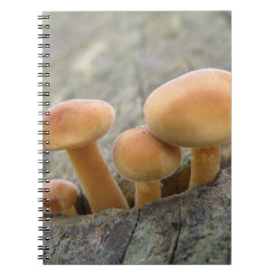 Toadstools on a Tree Trunk Notebook