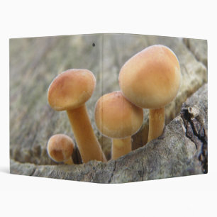 Toadstools on a Tree Trunk Photograph Album Binder