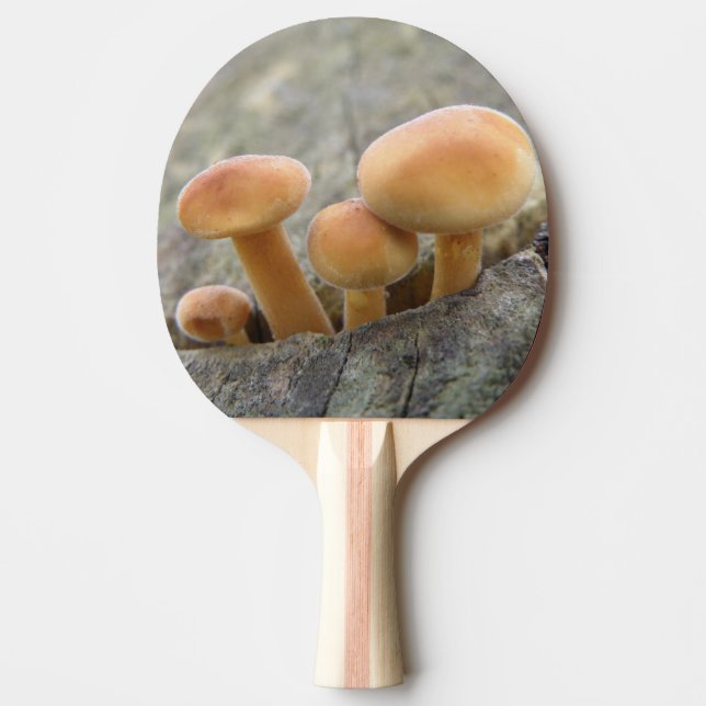 Toadstools on a Tree Trunk Ping Pong Paddle (Front)