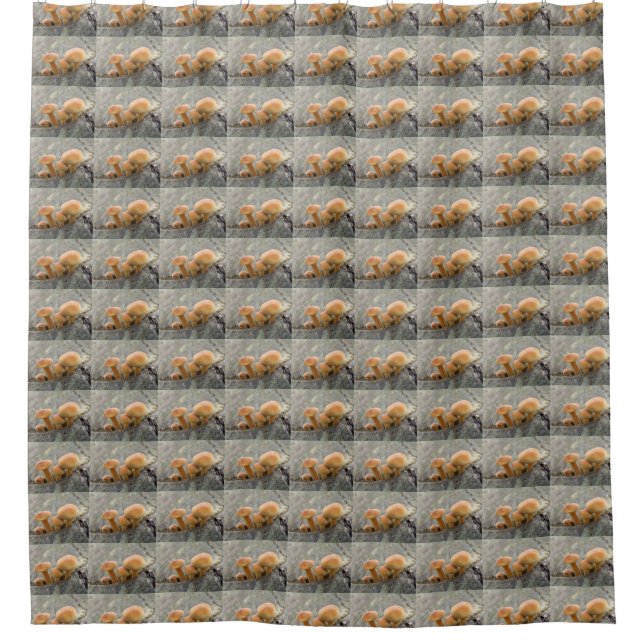 Toadstools on a Tree Trunk Shower Curtain (Front)