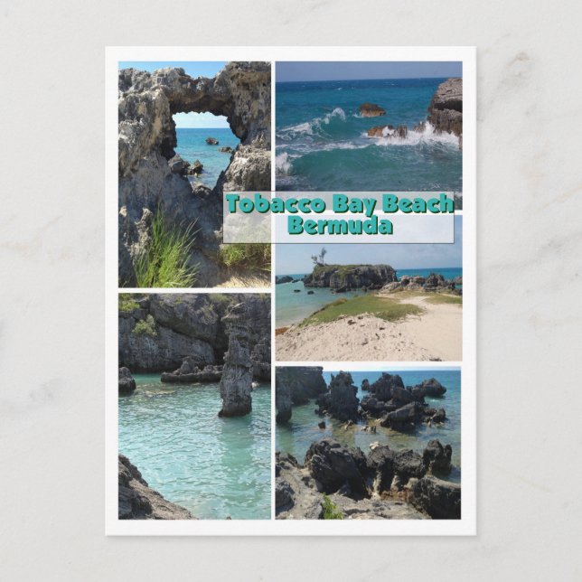 Tobacco Bay Beach, Bermudes carte postale (Devant)