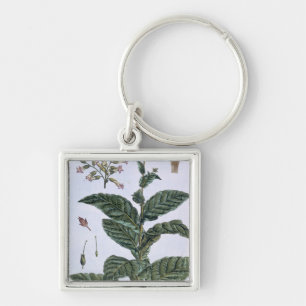 Tobacco plant, plate 7, from 'Collection Precieuse Keychain