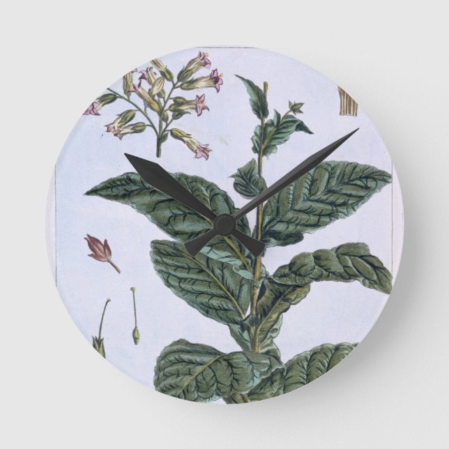 Tobacco plant, plate 7, from 'Collection Precieuse Round Clock (Front)