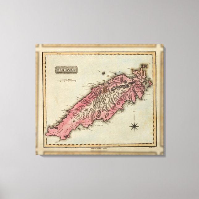 Tobago Canvas Print (Front)