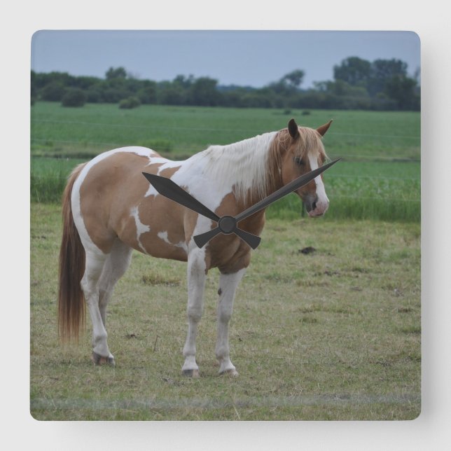 Tobiano Paint Horse Square Wall Clock (Front)