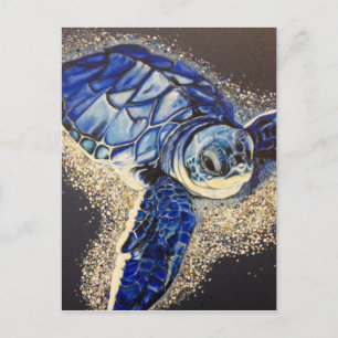 Tobin the baby sea turtle postcard