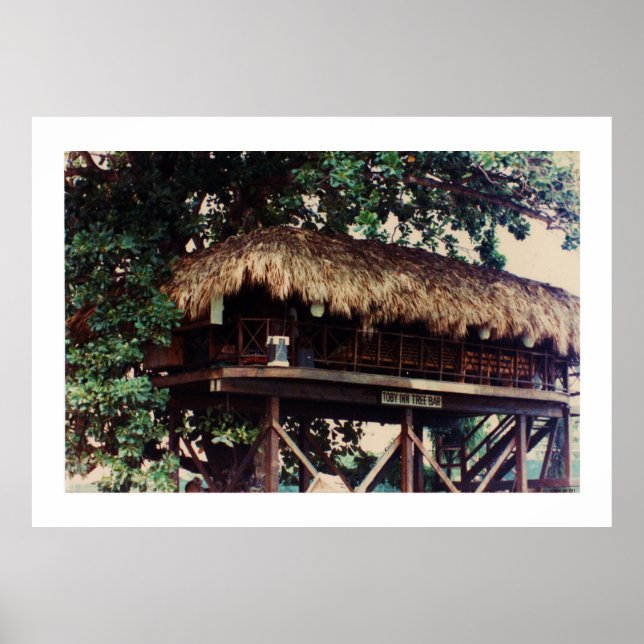 Toby Inn Tree House Bar, Montego Bay, Jamaica Poster (Front)