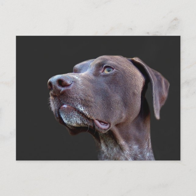 Toby Postcard (Front)