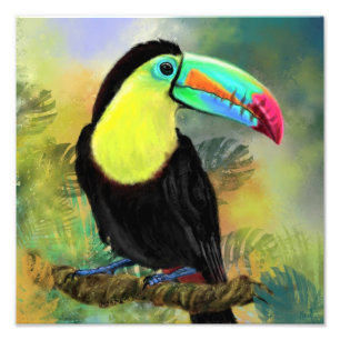 Toco Toucan Bird Watercolor Painting Photo Print