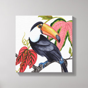 Toco Toucan Canvas Print
