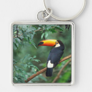 TOCO TOUCAN PHOTO FULL COLOR KEYCHAIN