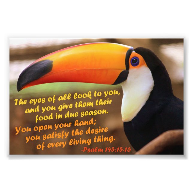 Toco Toucan with Psalm 145:15-16 Photo Print (Front)