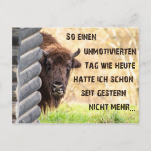 Today I am not motivated in animal terms! Postcard