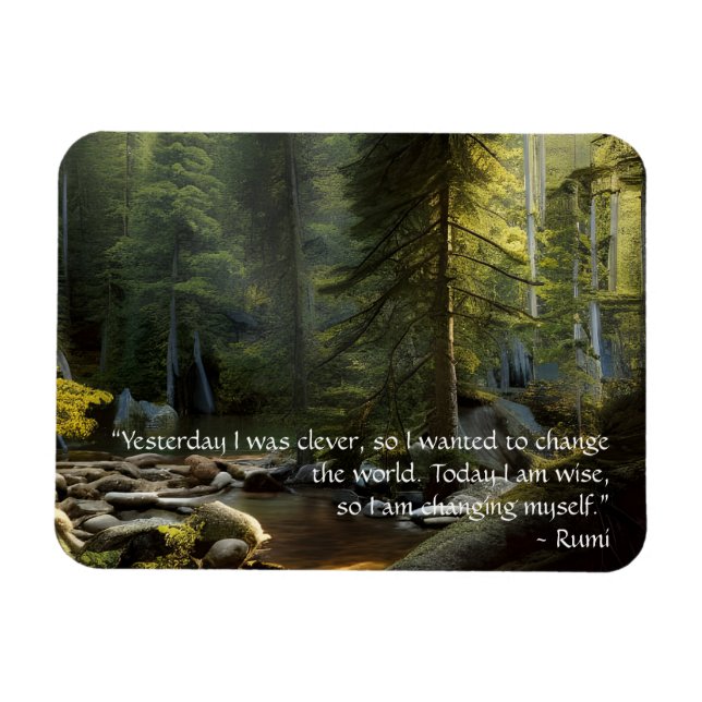Today I Am Wise Quote Nature Landscape   Magnet (Horizontal)