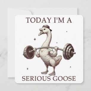 Today I'm A Serious Goose