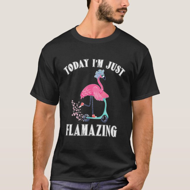 Today Im Just Flamazing Flamingo Cycling Funny T-Shirt (Front)