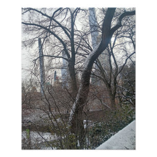 Today in New York City Central Park Photo Print