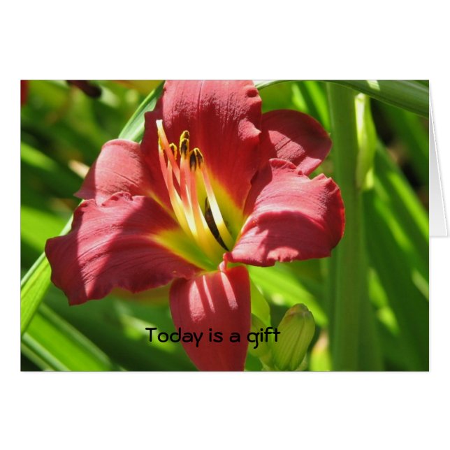 Today is a gift (Front Horizontal)