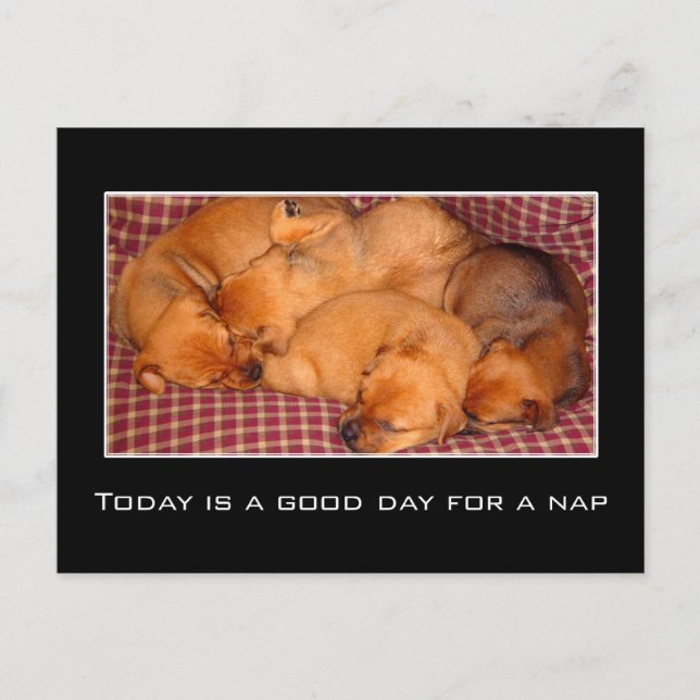 Today is a good day for a nap postcard (Front)