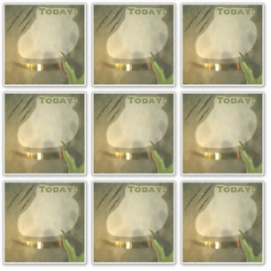 Today Planner Stickers Scrapbook Vintage Green 