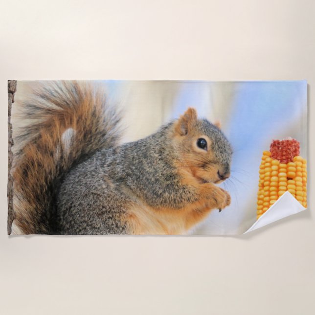 Todays furball   beach towel (Front)
