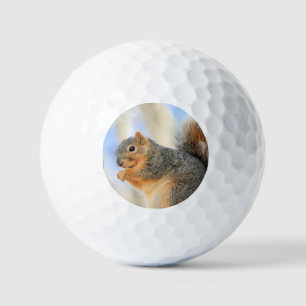 Todays furball  golf balls