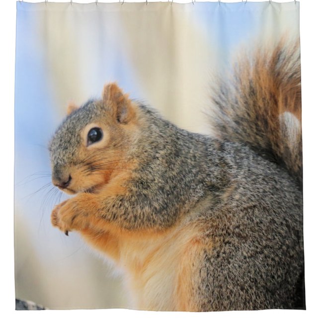 Todays furrball (Front)