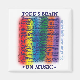 todd-brain magnet