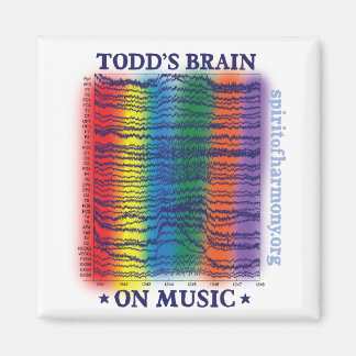todd-brain magnet
