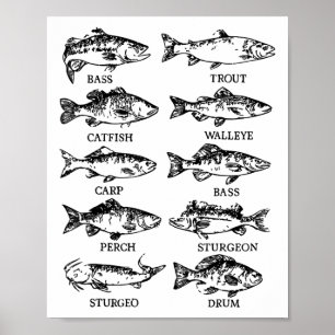 Toddler Types Freshwater Fish Funny Fisherman Men Poster