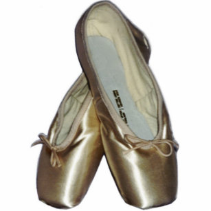 Toe Shoes Ballet Ornament Photo Sculpture Ornament