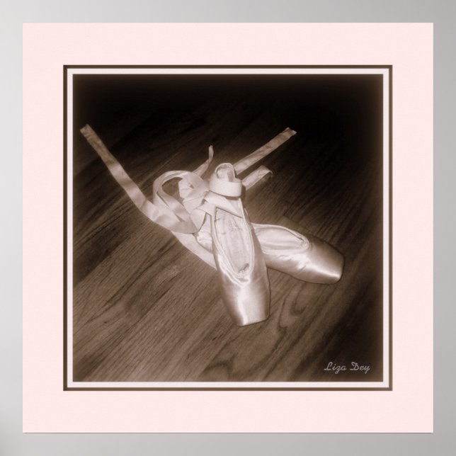 'Toe Shoes' Panel Print (Rose) (Front)