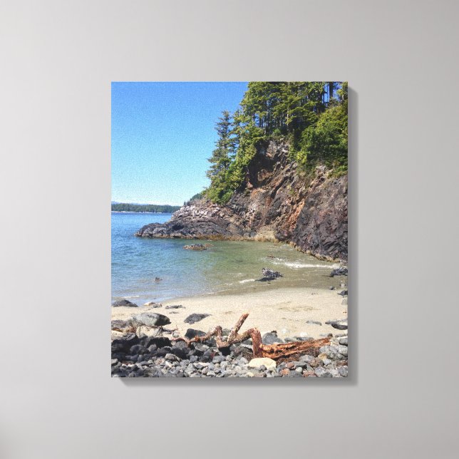 Tofino BC isolated beach Canvas Print (Front)