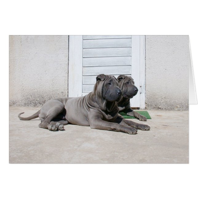 Together... (Front Horizontal)