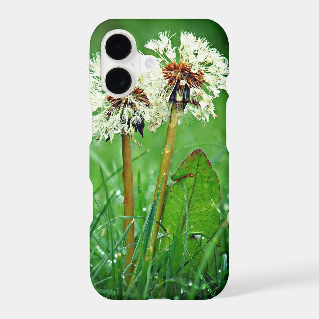 Together. Always Two Dandelions with raindrops (Back)
