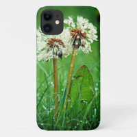 Together. Always Two Dandelions with raindrops