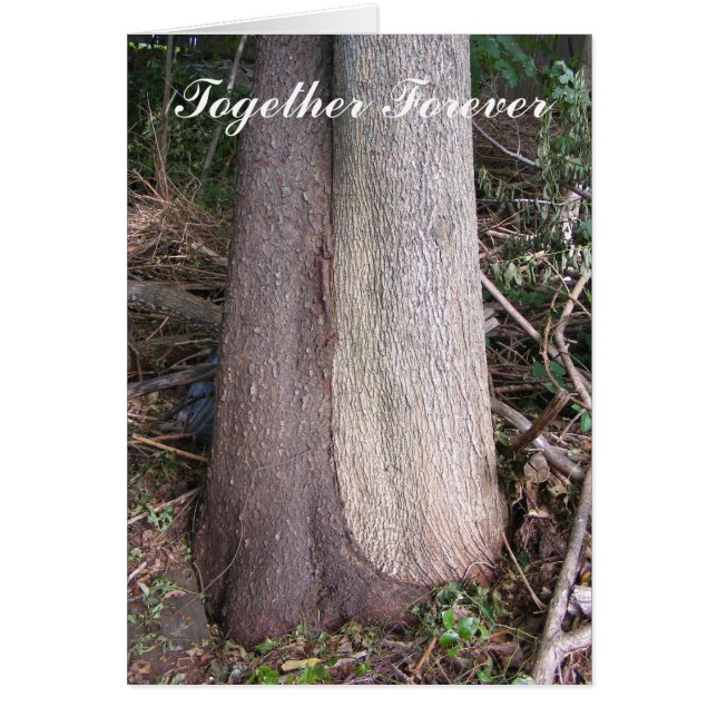Together Forever ~ card (Front)