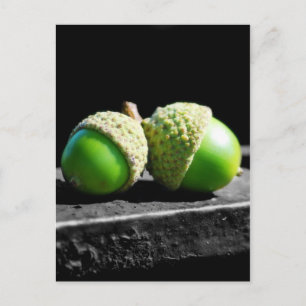 Together Forever Postcard