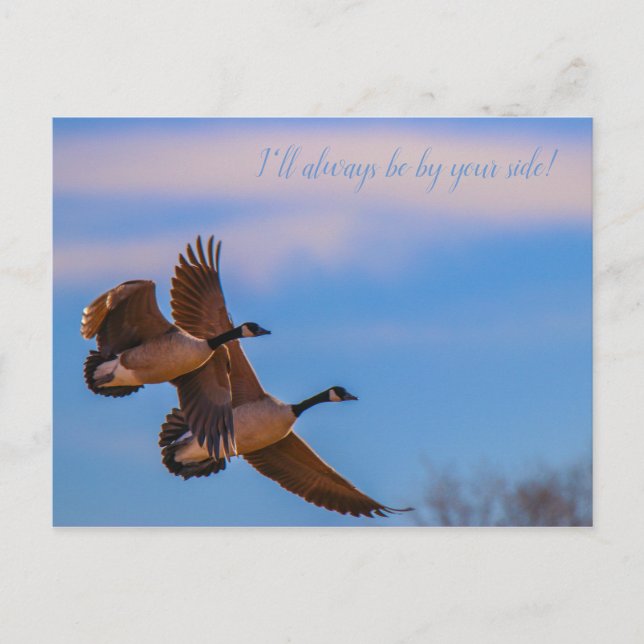 together postcard (Front)