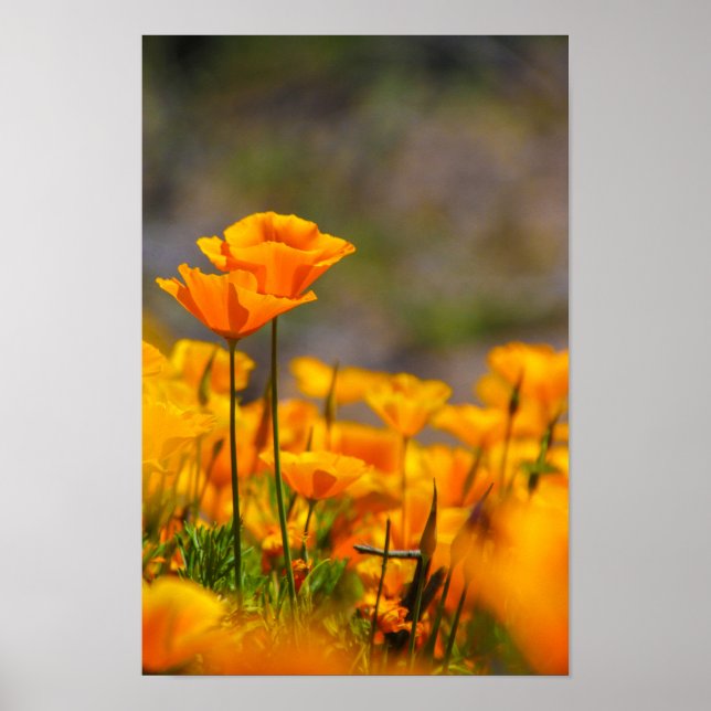 Together Poster (Front)