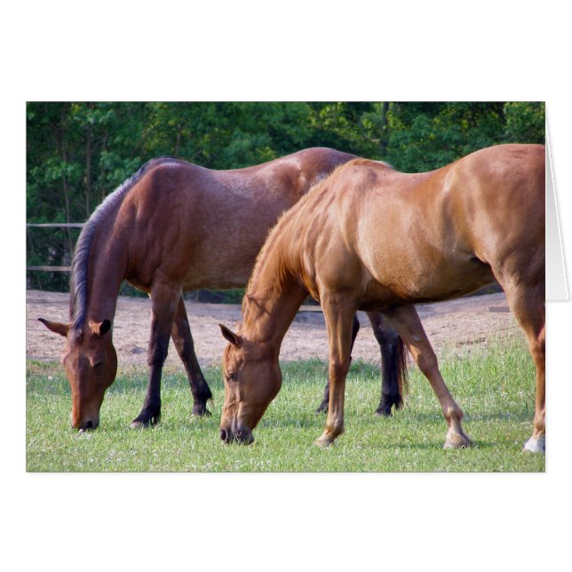 togetherness (Front Horizontal)